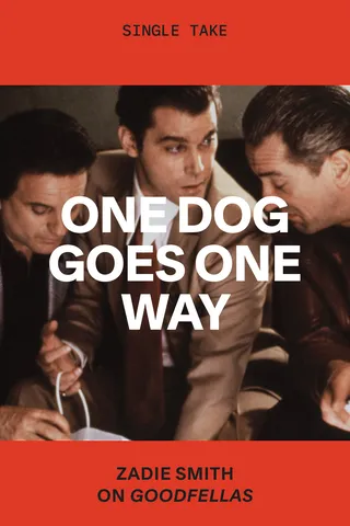 One Dog Goes One Way