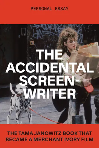 The Accidental Screenwriter
