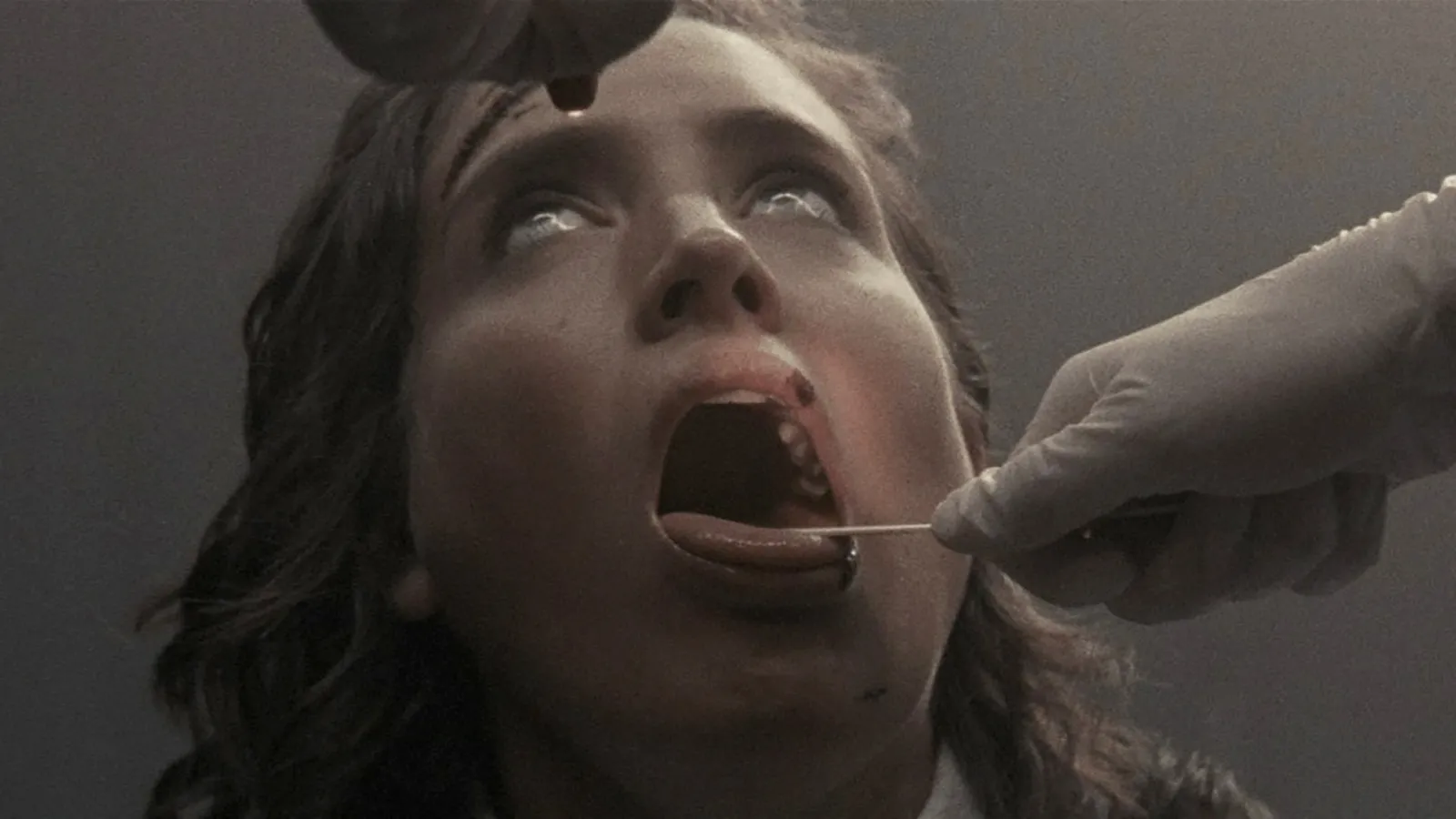 <I>Luz</I>, dir. Tilman Singer, 2018