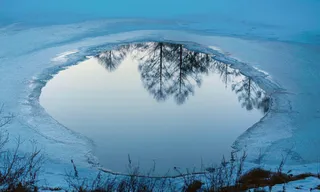 Top 10: Nature as Character