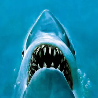 Jaws Live Discussion