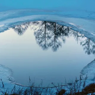 Top 10: Nature as Character